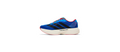 Adidas Originals x BAPE AdiZero Evo SL