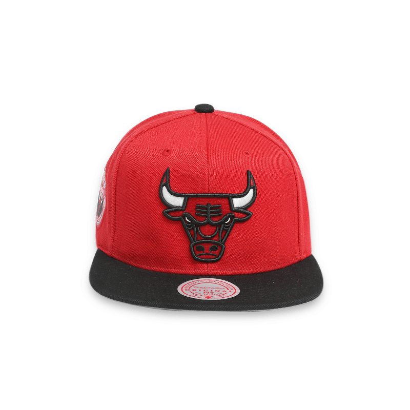 [6HSSFC20041-CBURDBK] Established Patch Snapback