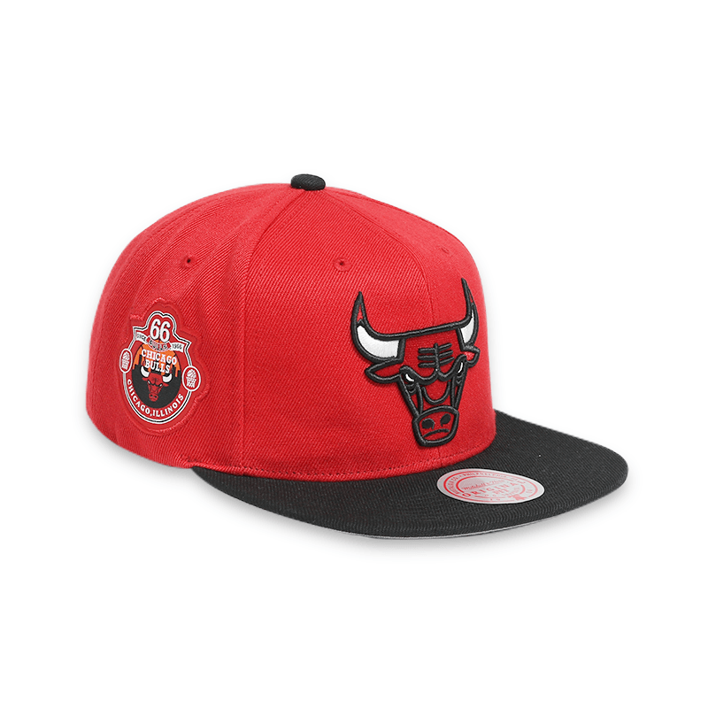 [6HSSFC20041-CBURDBK] Established Patch Snapback